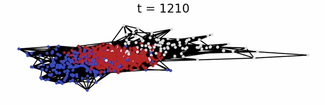 Network cluster after thousands of iterations.
